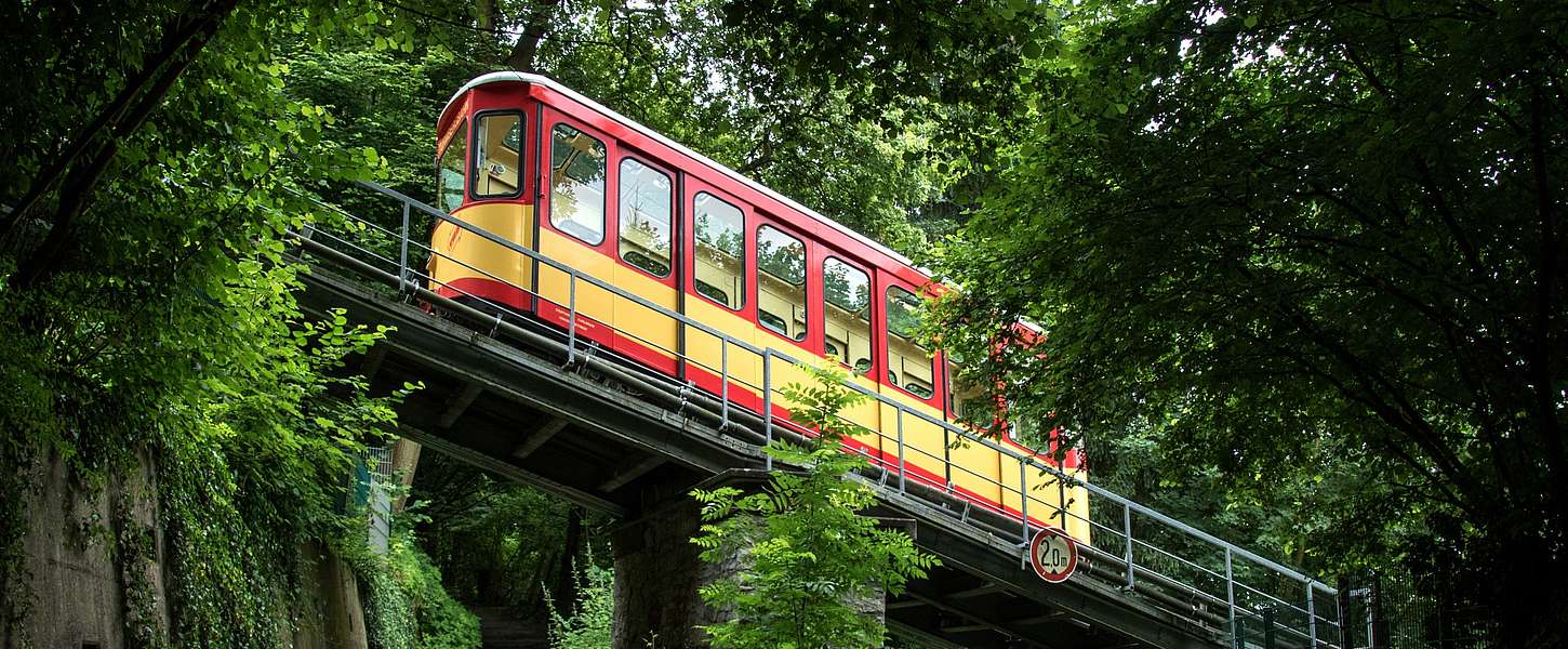 Die Turmbergbahn inmitten grüner Bäume.