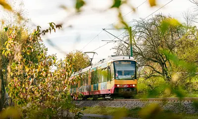 Stadtbahn S31 in Richtung Odenheim. 