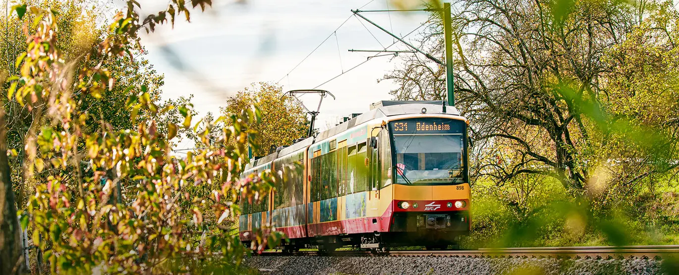 Stadtbahn S31 Richtung Odenheim. 