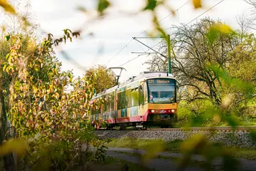 Stadtbahn S31 in Richtung Odenheim. 