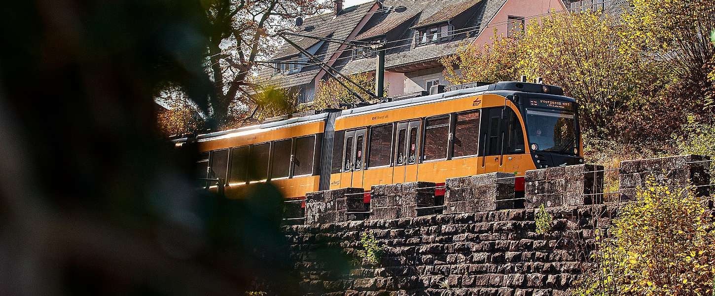 Gelbe Stadtbahn fährt über eine Steinerhebung. Links sind Blätter im Bild.