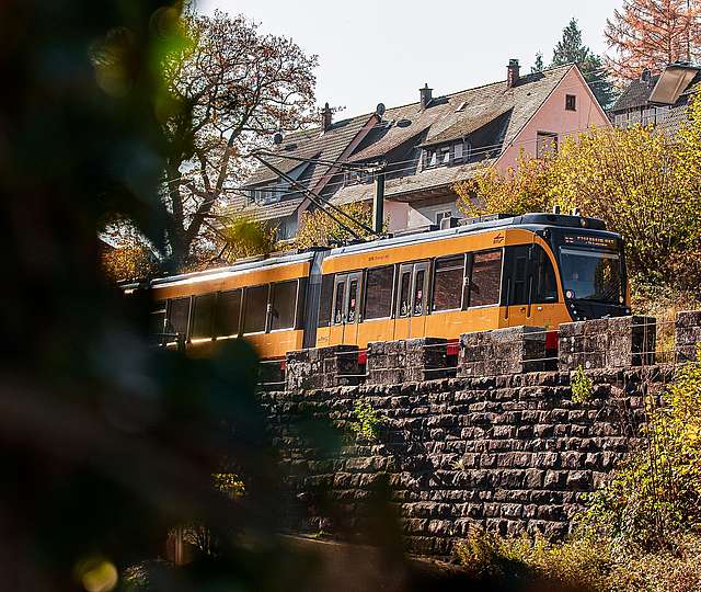 Gelbe Stadtbahn fährt über eine Steinerhebung. Links sind Blätter im Bild.