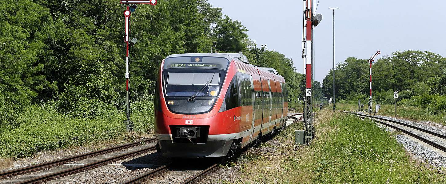 Eine Regionalbahn fährt am Waldrand entlang.