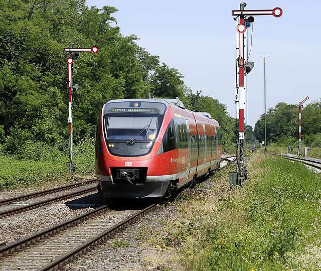 Eine Regionalbahn fährt am Waldrand entlang.