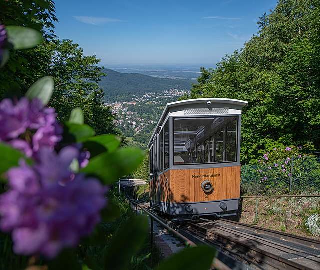 Die Merkur Bergbahn auf ihrem Weg den Berg hinauf.