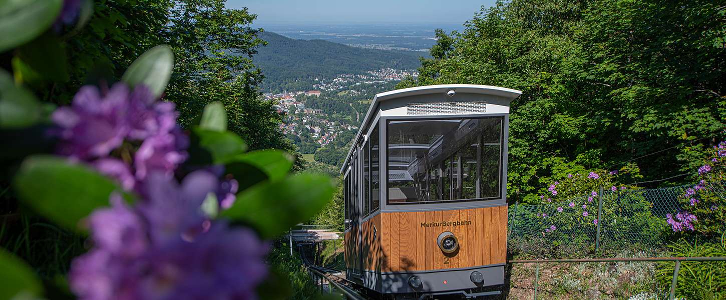 Die Merkur Bergbahn auf ihrem Weg den Berg hinauf.