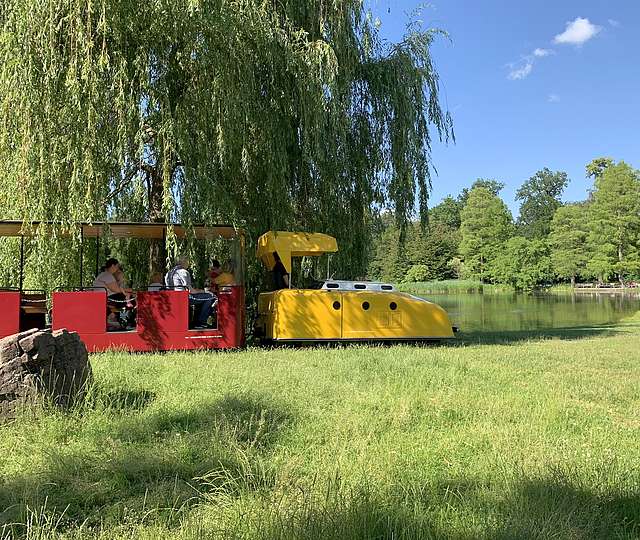 Die Schlossgartenbahn fährt an einem schönen Tag durch den Schlossgarten.